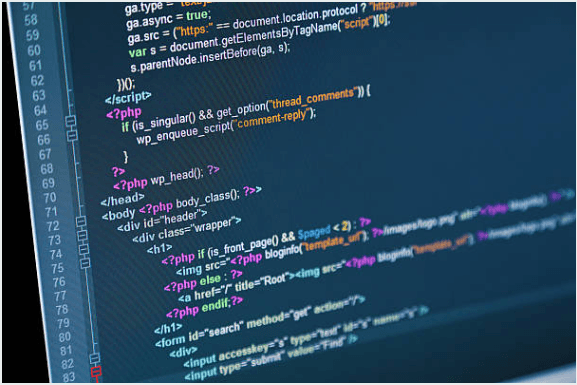 Website Design